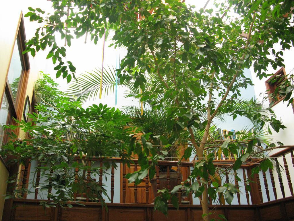 Apartamentos La Fuente Santa Cruz de la Palma  Luaran gambar