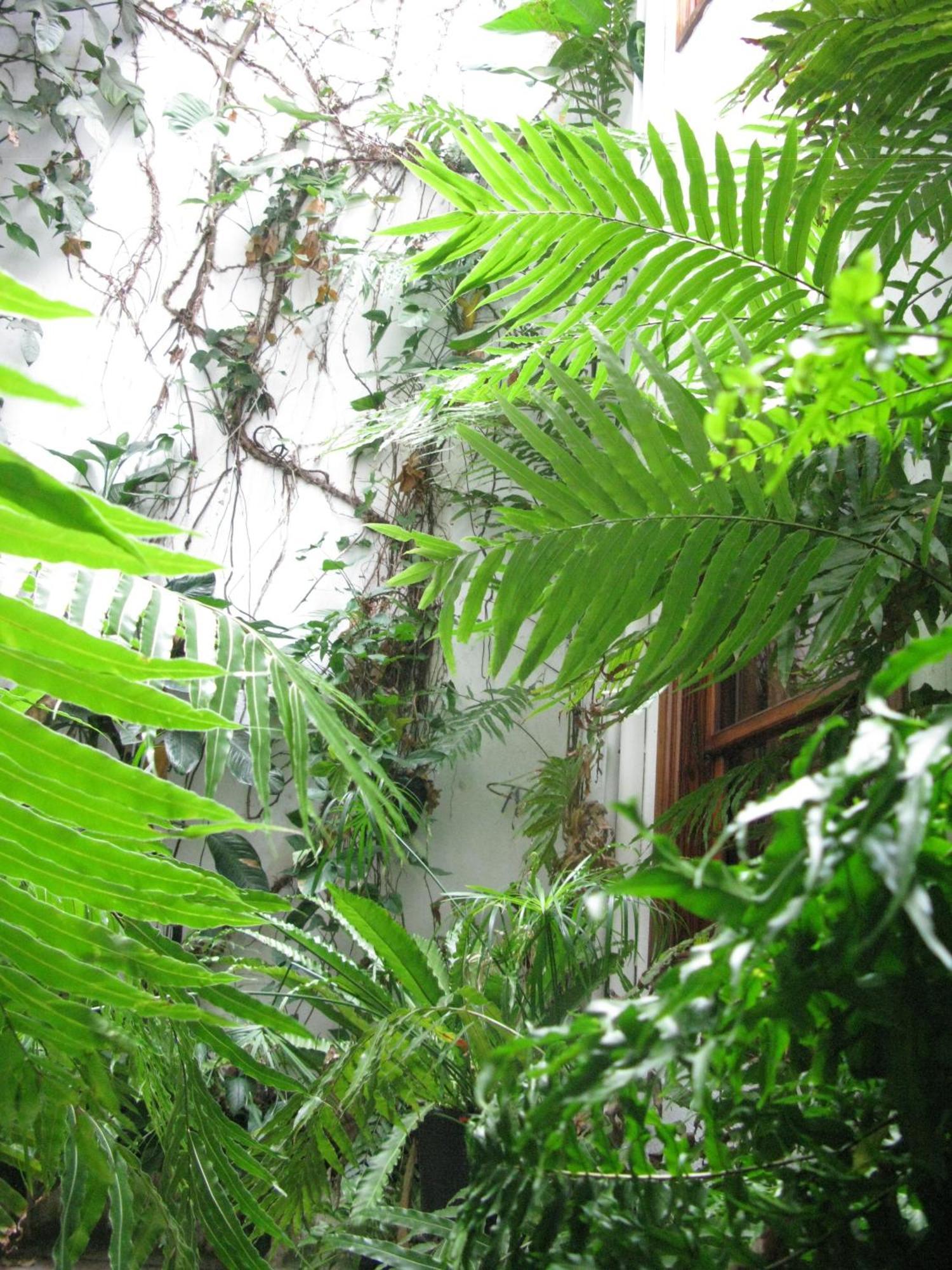 Apartamentos La Fuente Santa Cruz de la Palma  Luaran gambar